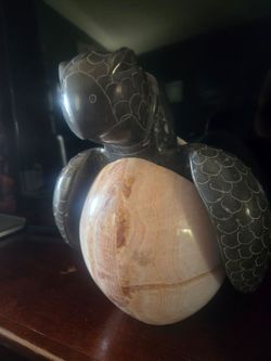 Sea Turtle