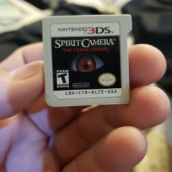 Nintendo 3ds Spirit Camera Authentic Works Perfectly 