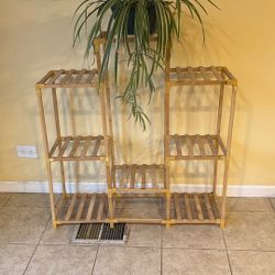 Plant Holder