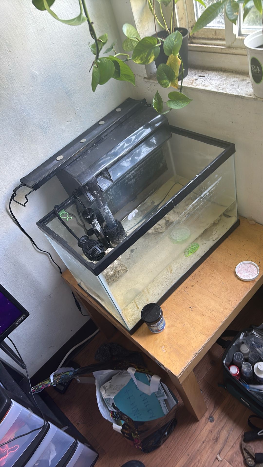 10g Saltwater With Supplies