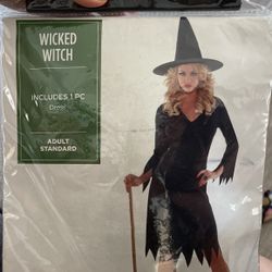 Witch Costume Adult