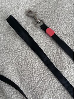 7ft Long Line Training Leash