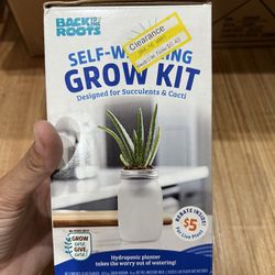 Self Watering Grow Kit For Succulents And Cacti