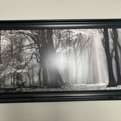 Black And White Framed Portrait 