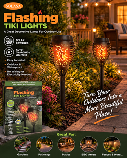 Flashing Solar Lights 2PK