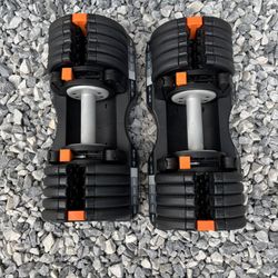 Ajustable Dumbbells 