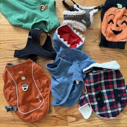 Small Dog Harness/sweater/clothing Bundle 