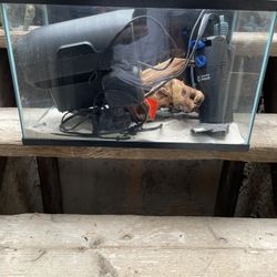 10 gallon Aquarium 