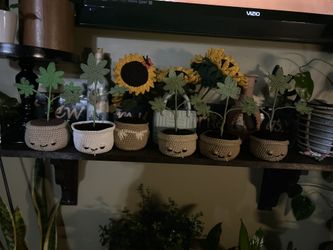 Weed Crochet Pot