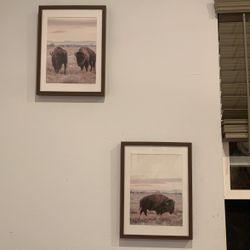 Frame Pictures 