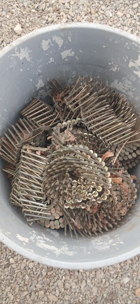 Roof Nails