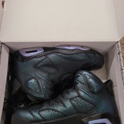 Jordan 6 Chameleon