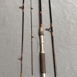 Danco gold eagle EG2570x spin/fly fishing rod 
