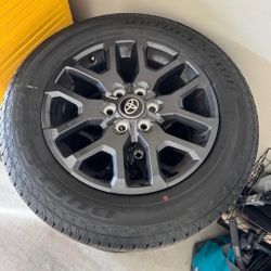Tundra Wheels 