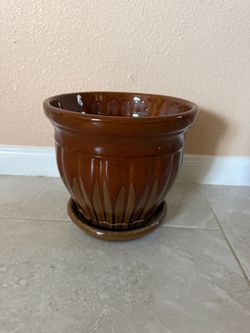 Pot