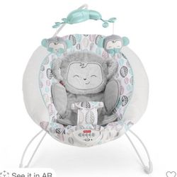 Fisher- Price  Snugamonkey Deluxe Bouncer