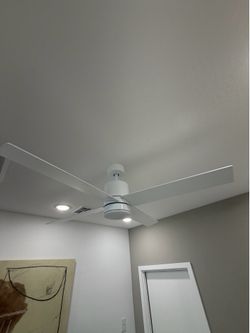 Ceiling Fans