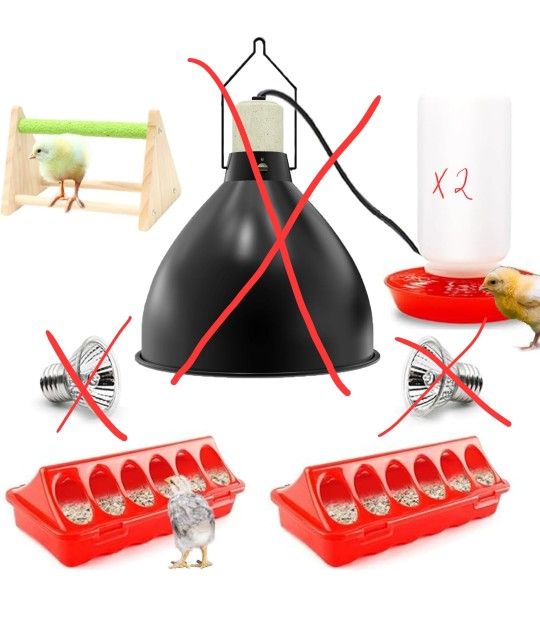 5 Pc Chicken Chick Starter Set
