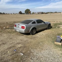 2005 Mustang 