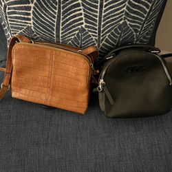 Purse mini Backpack 