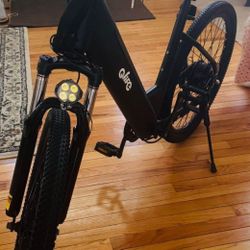 Qlife electric bike