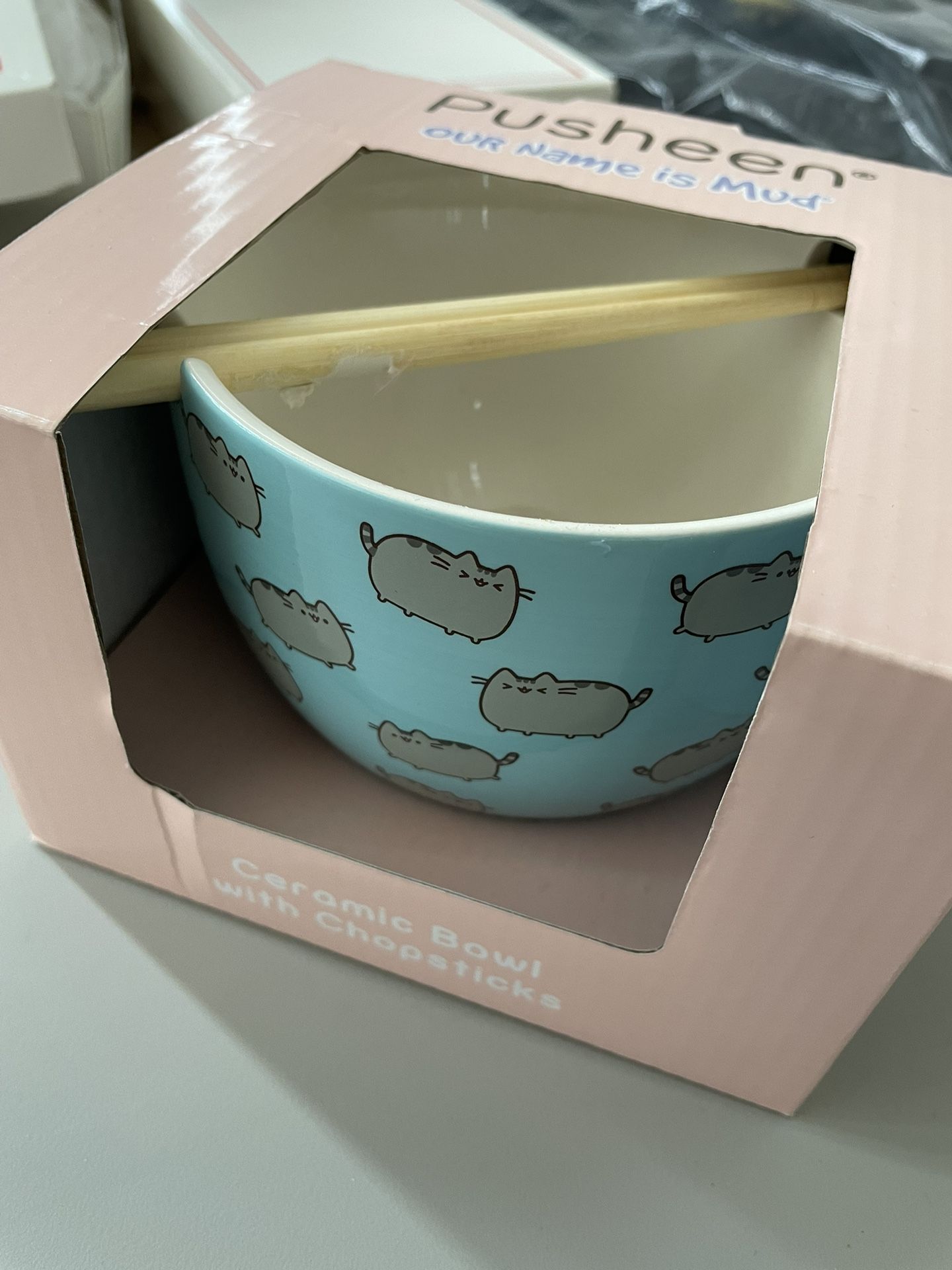 Pusheen Noodle Bowl w/ Chopsticks