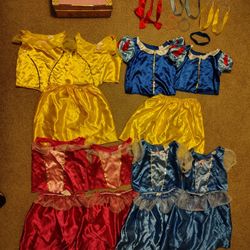 Disney Princess Dress Up Trunk