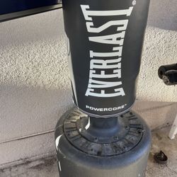 Stand Alone Boxing Bag