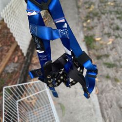 Harness 