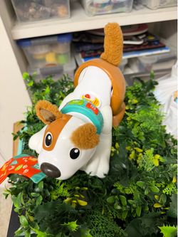 Fisher price! Learning interactive dog crowl with me