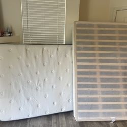 Full Size Bed, Box Spring And Frame