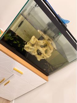 Fish Tank