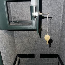 sentry fireproof safe