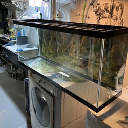 55 Gallon Aquarium 