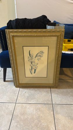 Snow White Corn Flag Botanical Print Framed Contemporary Decor Picture