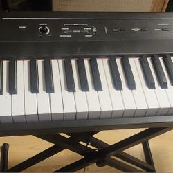 Alesis Keyboard 