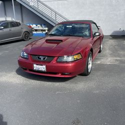2003 Ford Mustang