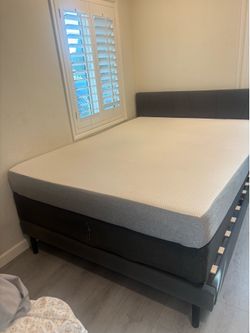 Queen Bed
