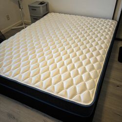 Queen Mattress And Box Spring  Sleepys Basics 