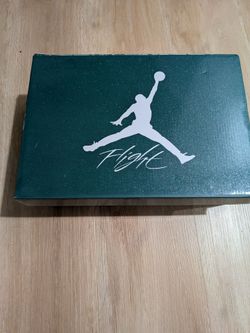 Size 9 Jordan 4s oxidized green