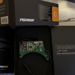 Fishman Ellipse Matrix Blend