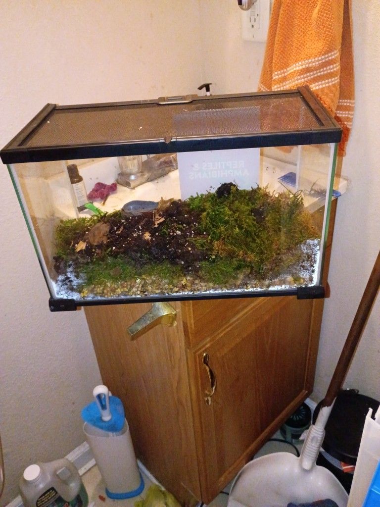 Reptile Tank