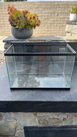 Glass reptile enclosure