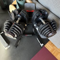 Bowflex 1090 Adjustable Dumbbell Set With Stand (90Lbs Each)