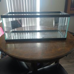 20 Inch Long Aquarium 