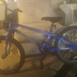 Redline Raid Juniors Bike