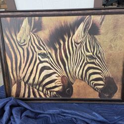 Zebra Framed Canvas