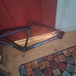 Specialized Frame 