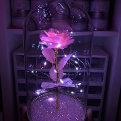 New Large Galaxy Pink Rose