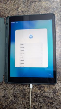 Apple iPad